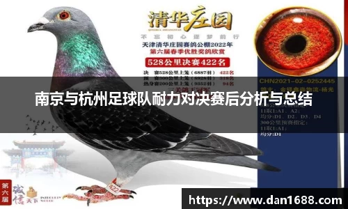 南京与杭州足球队耐力对决赛后分析与总结